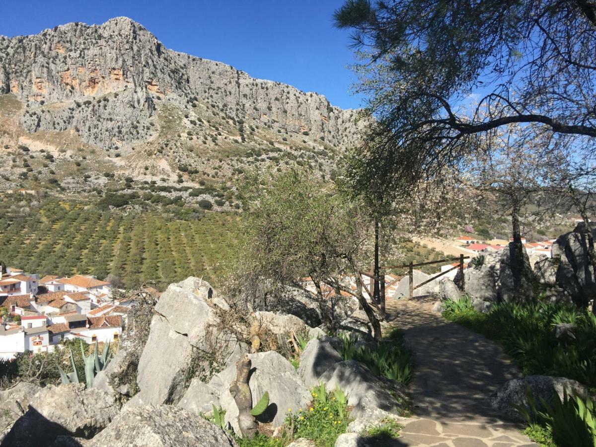 Disfruta De Nuestra Casa En Un Entorno Natural Montejaque